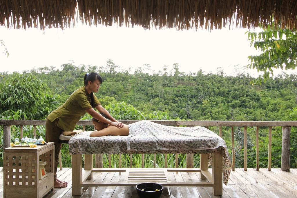Puri Sebatu Resort Seribatu Екстериор снимка