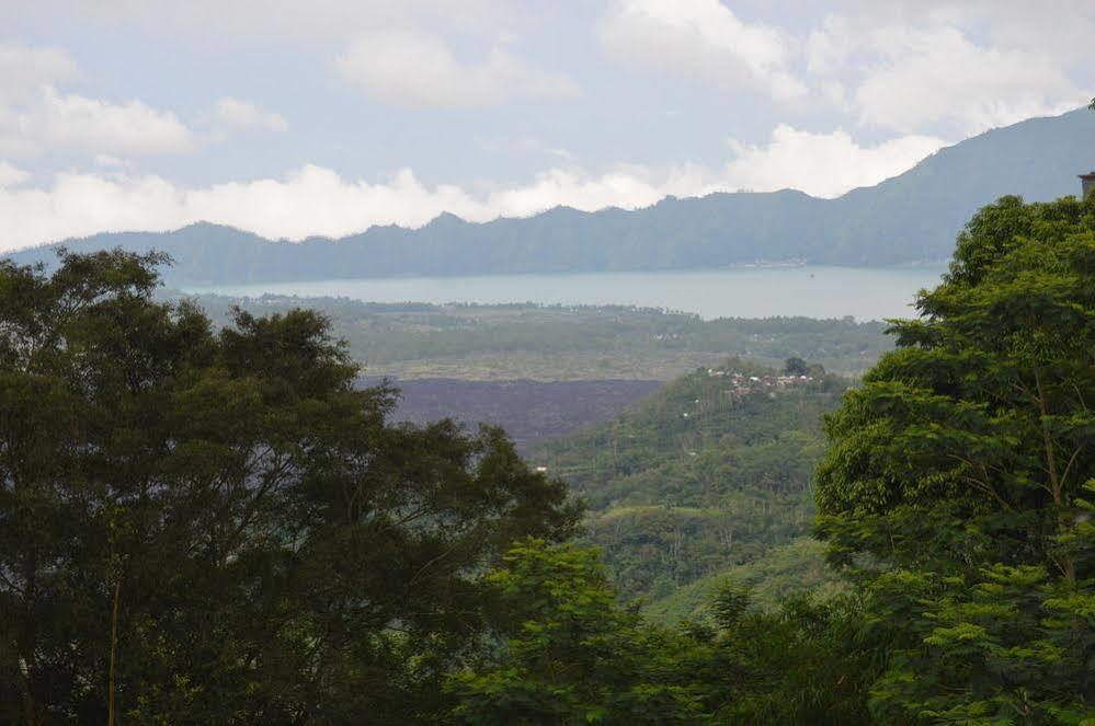 Puri Sebatu Resort Seribatu Екстериор снимка